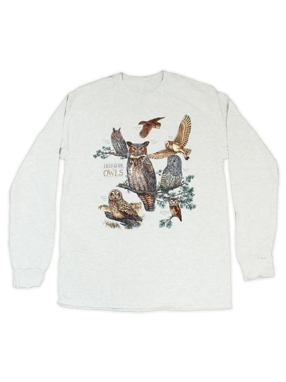 Owl Print Round Neck Long Sleeved Women's T-Shirt