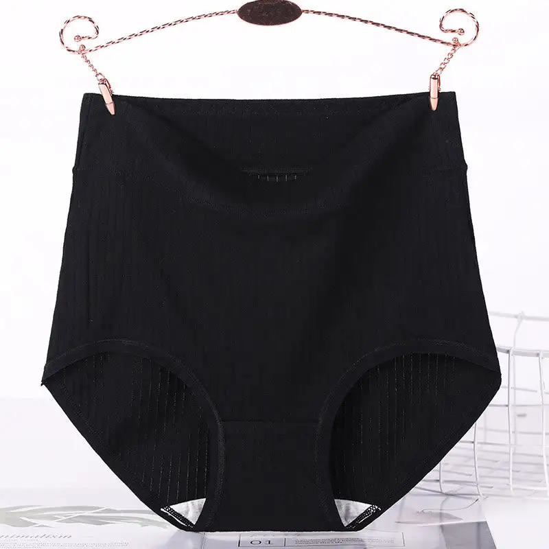 Plus Size High Waist Soft Touch Brief Panty