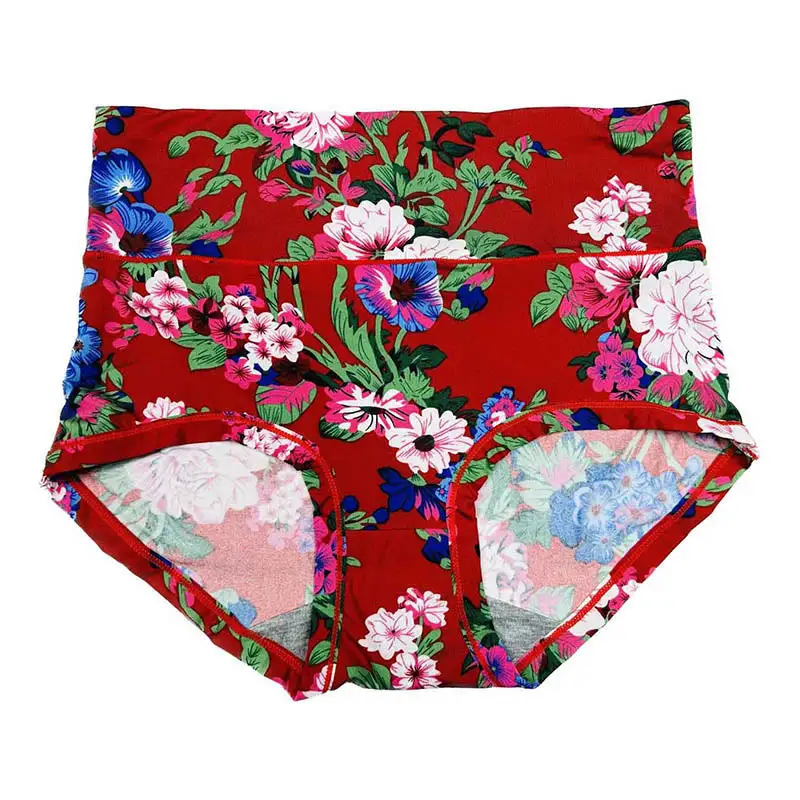 Plus Size High Waist Print Panty
