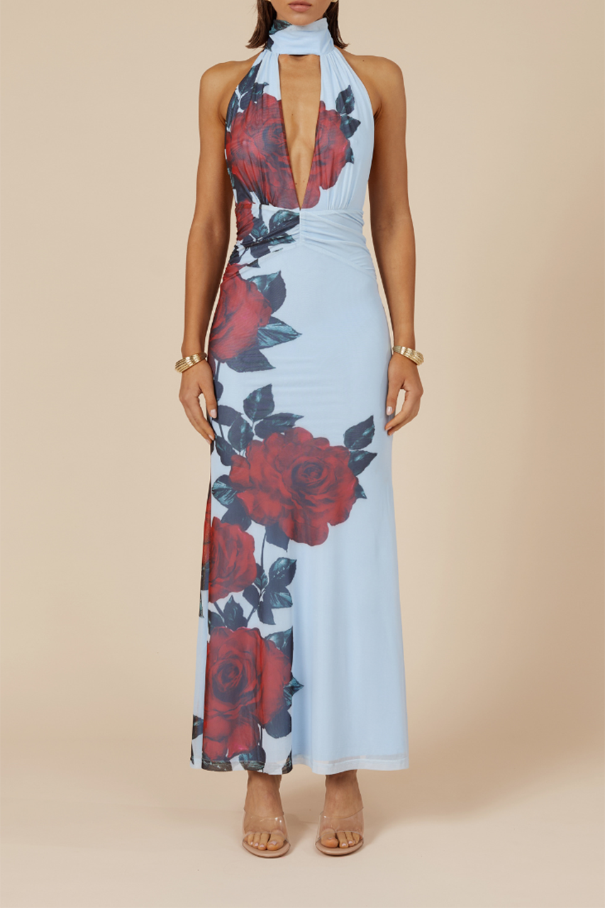 ANTONIE MAXI DRESS