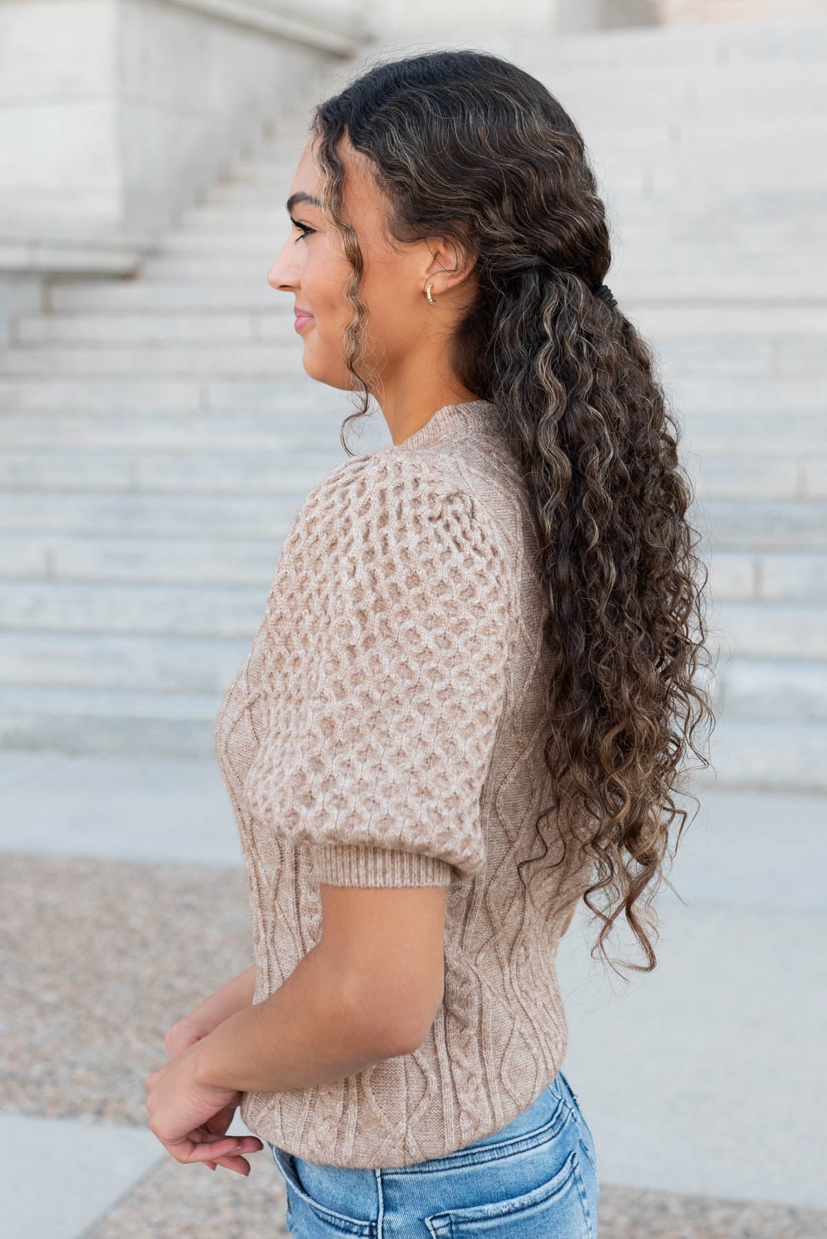 Alaina Taupe Short Sleeve Sweater