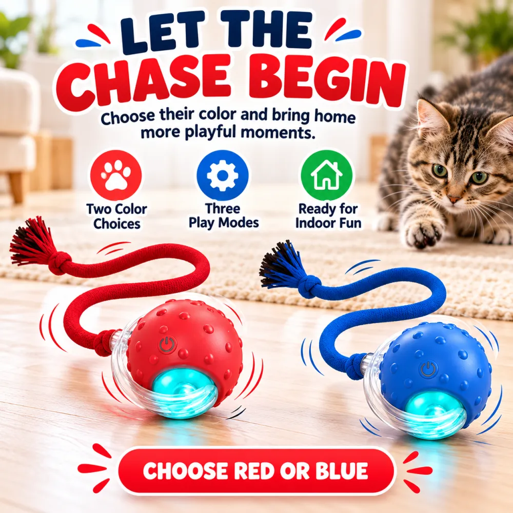 Interactive Small Pet Ball with Chirping Sounds