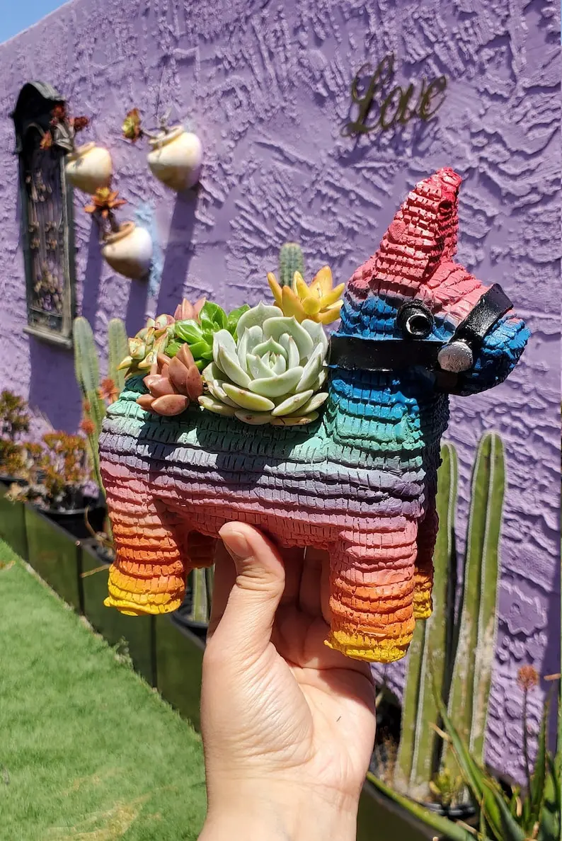 (Store Closing Sale) Piñata Planter by Seelene Succulents