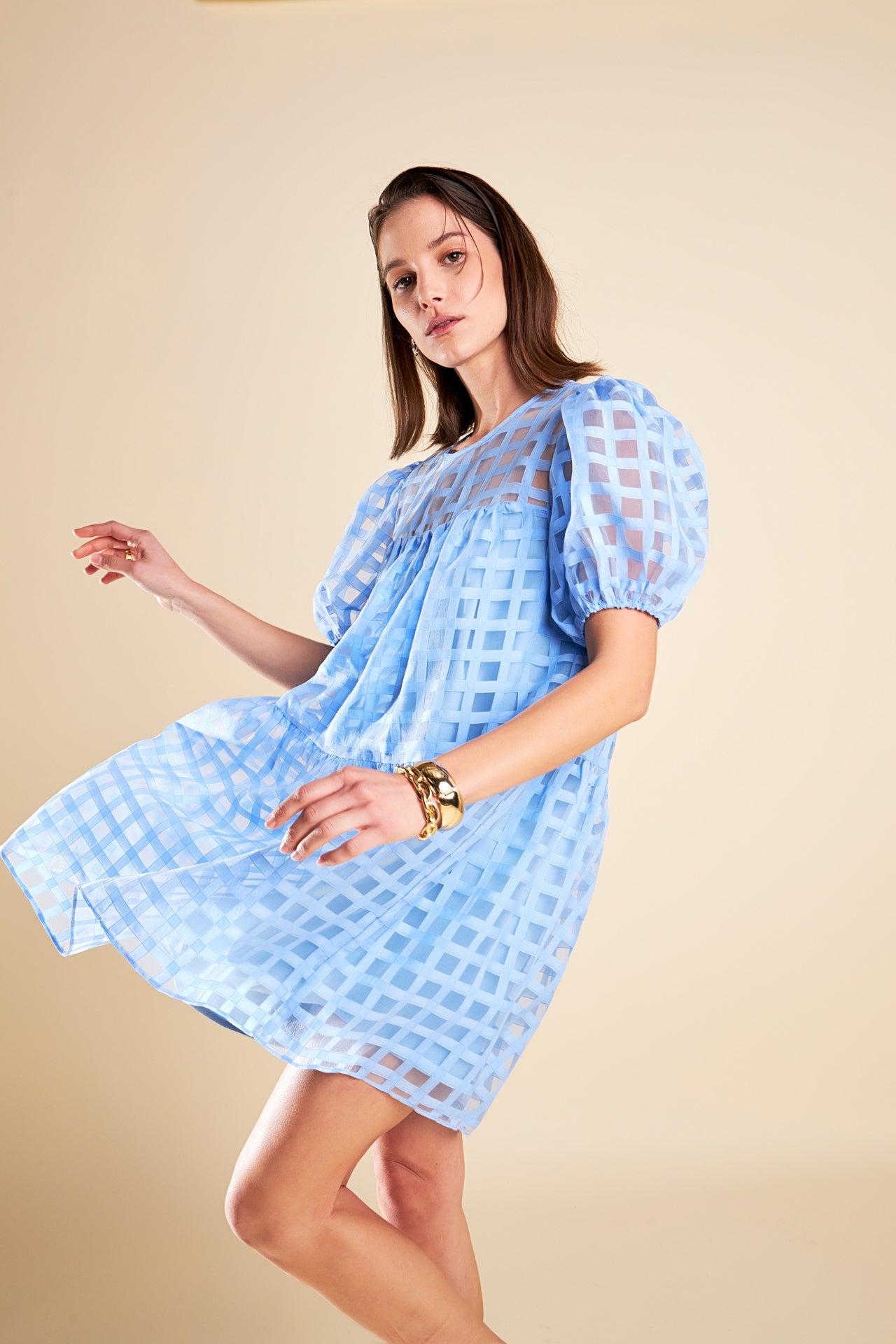 Gridded Organza Mini Dress