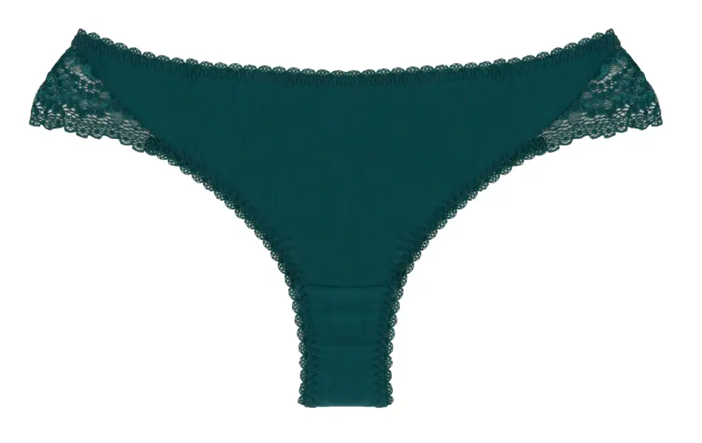 Modern Lace Brazilian Panties