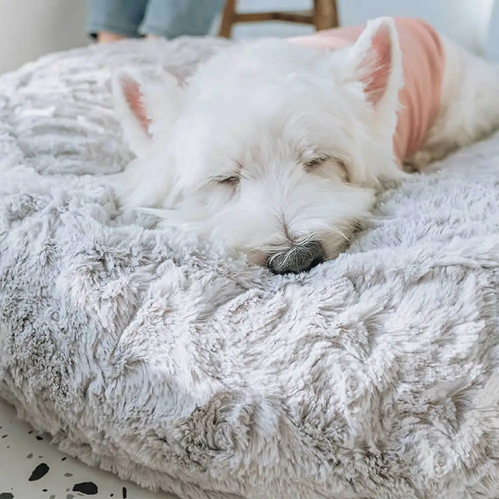 Warming Fluffy Round Cloud Shape Claiming Dog Bed