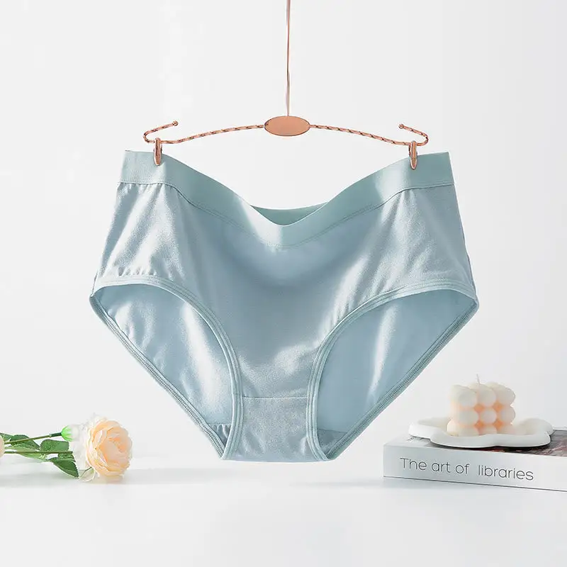 Plus Size High Waist Seamless Panty