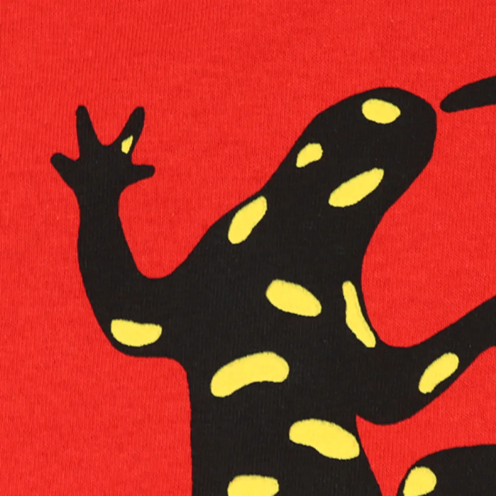 Salamander Print Round Neck Long Sleeved Women's T-Shirt