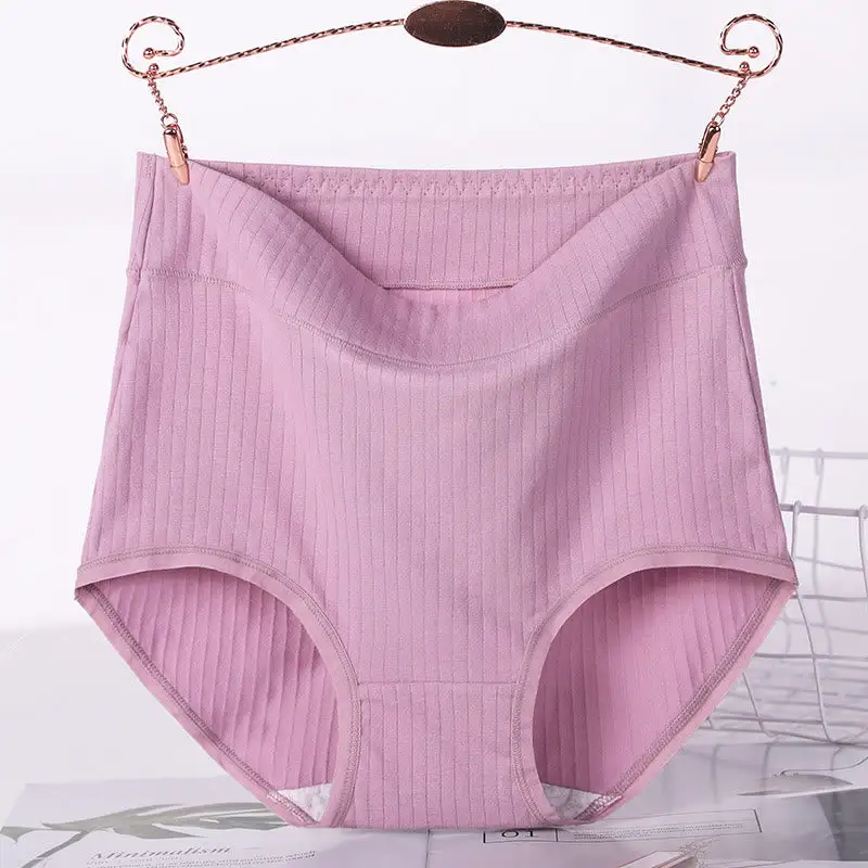 Plus Size High Waist Soft Touch Brief Panty