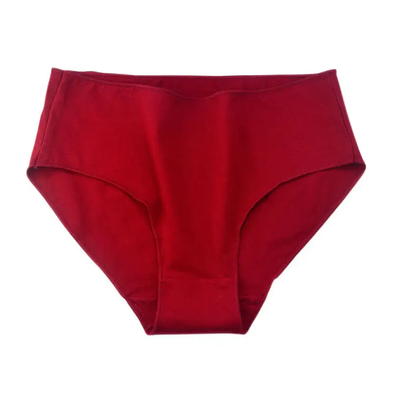 Plus Size High Waist Soft Touch Brief Panty