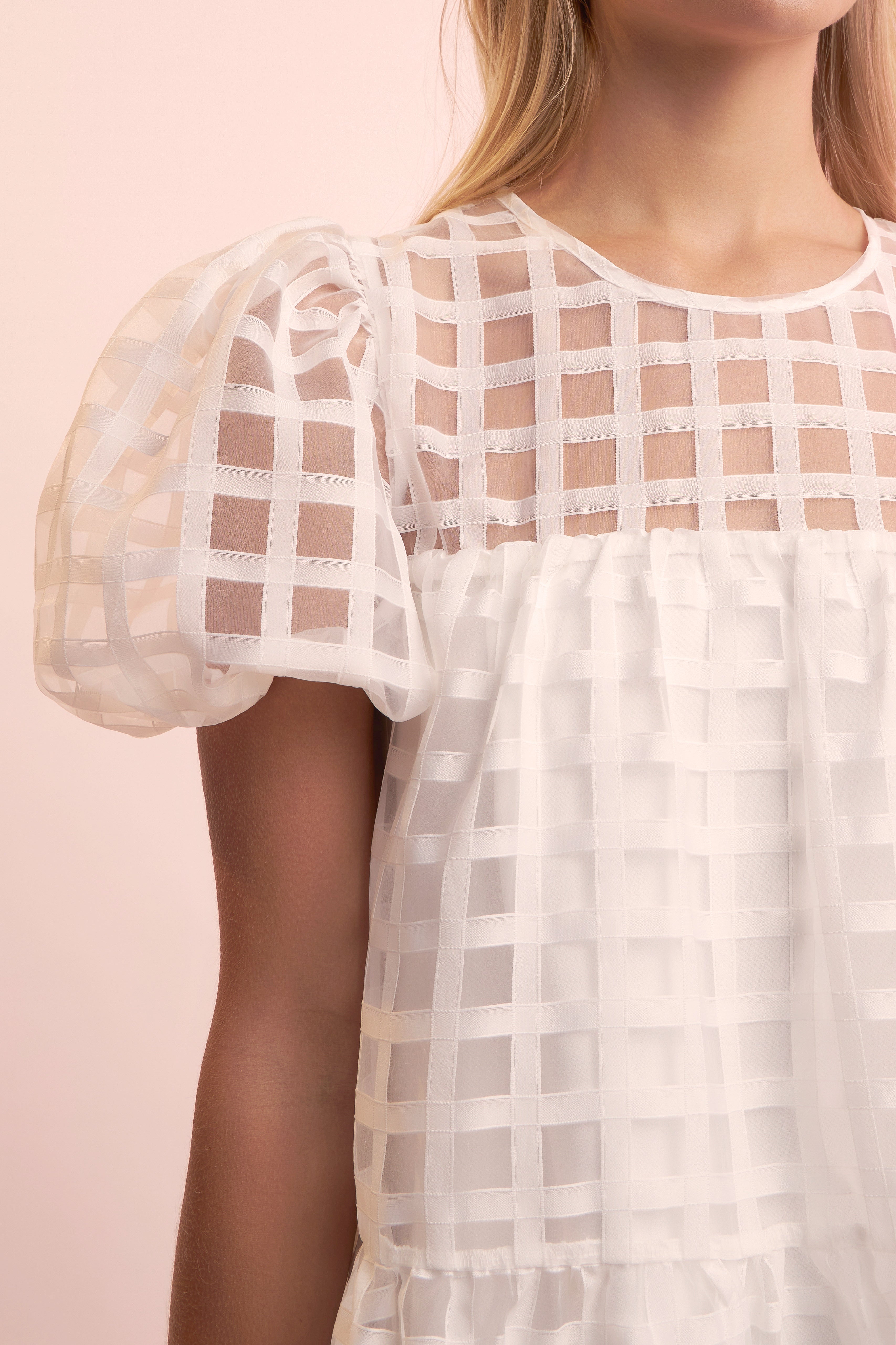 Gridded Organza Mini Dress