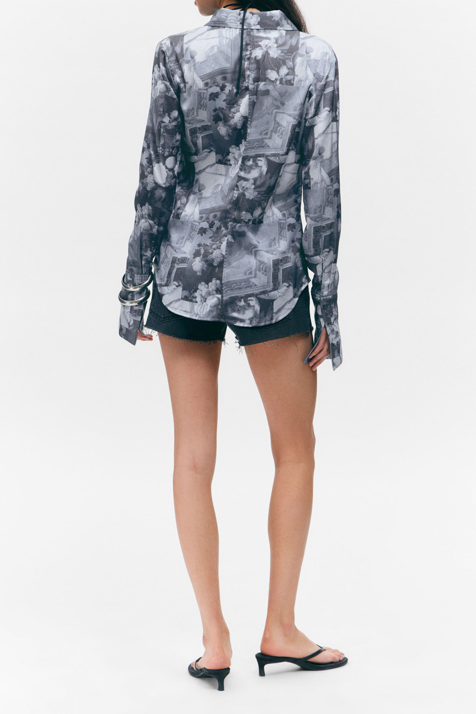 Sheer Printed Long Sleeve Shirt