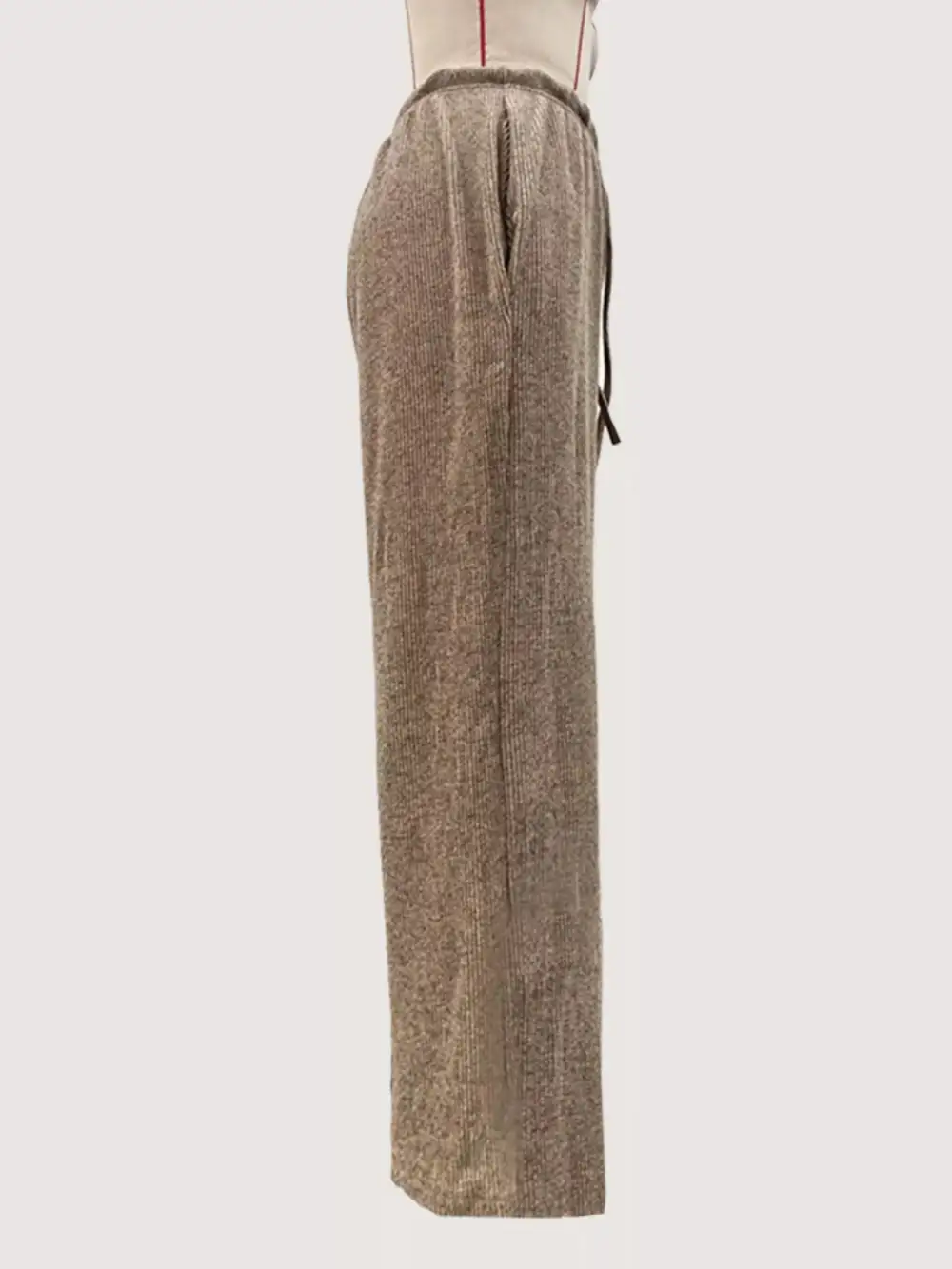 Polished Drawstring Wide Leg Pants