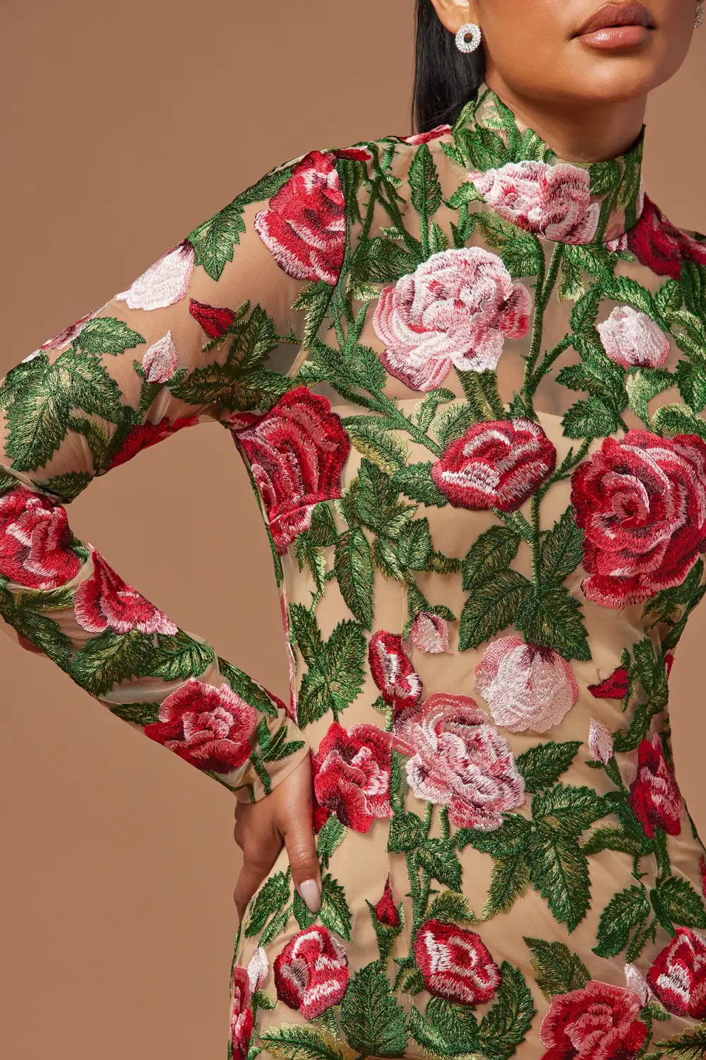 The Garden Scene Embroidered Mini Dress - Red/combo