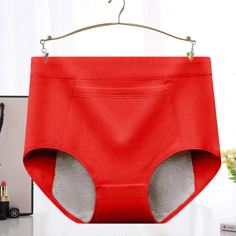 Everyday Plus Size High Waist Soft Touch Brief Panty