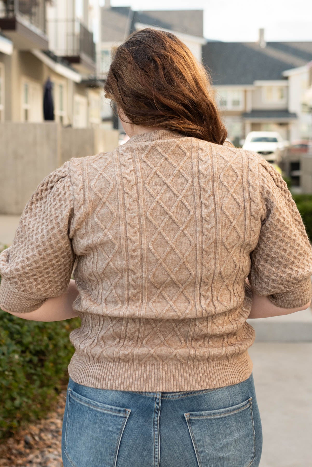 Alaina Taupe Short Sleeve Sweater