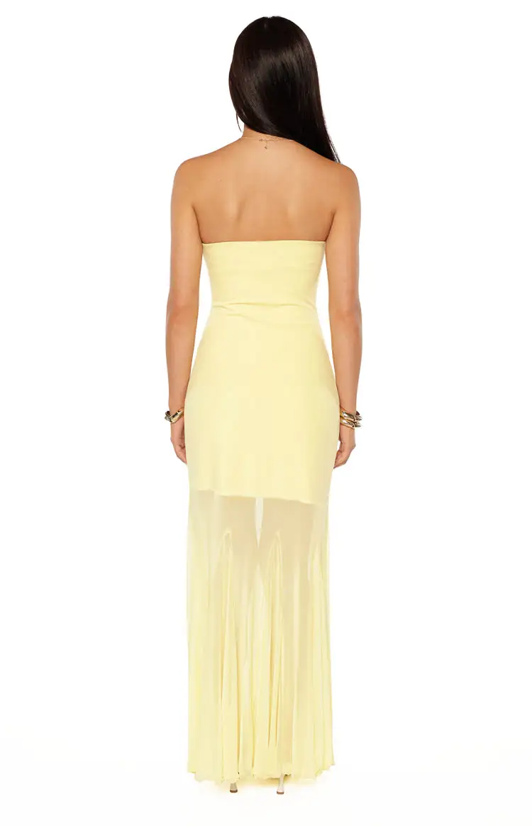 Mesh Strapless Bodycon Maxi Dress