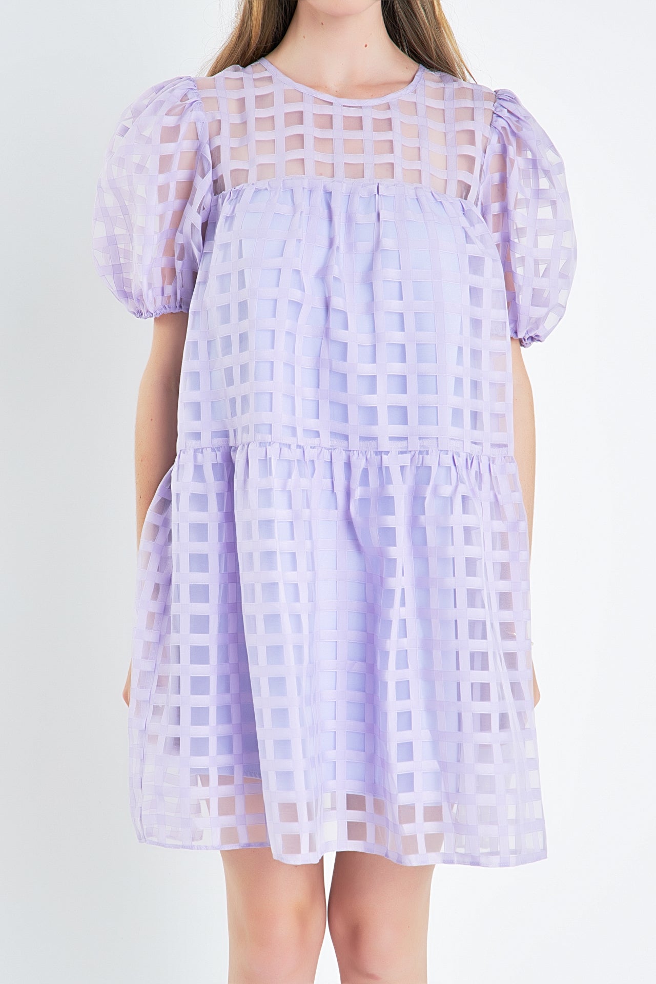 Gridded Organza Mini Dress