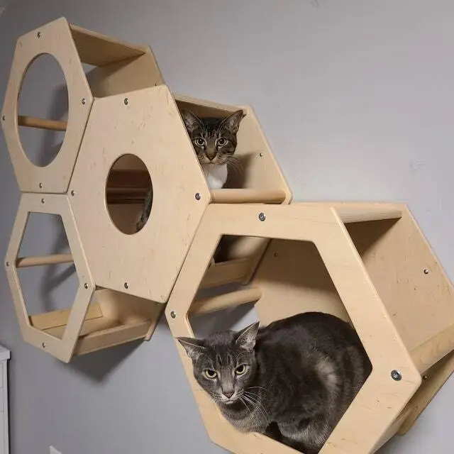 The Best Gift For Your Cats❤️