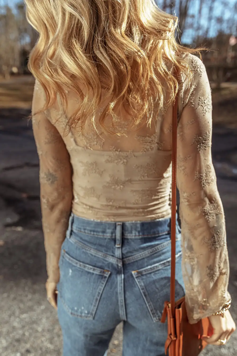 Lace Trim Mesh Long Sleeve Blouse
