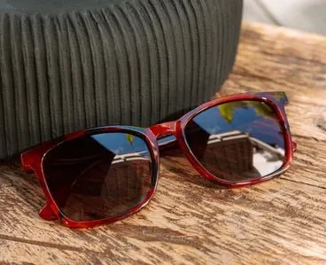 Bold Frame Reading Sunglasses