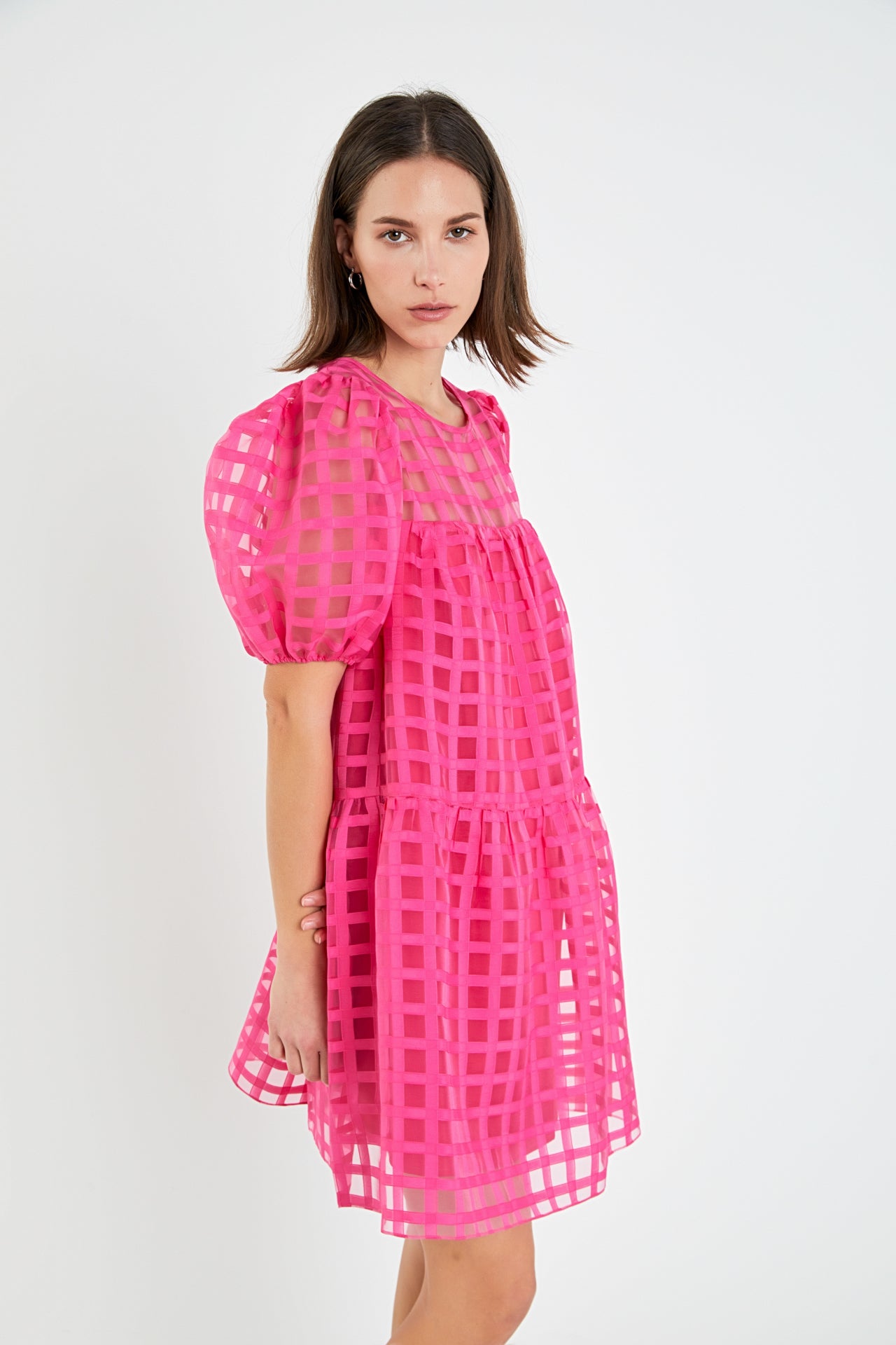 Gridded Organza Mini Dress