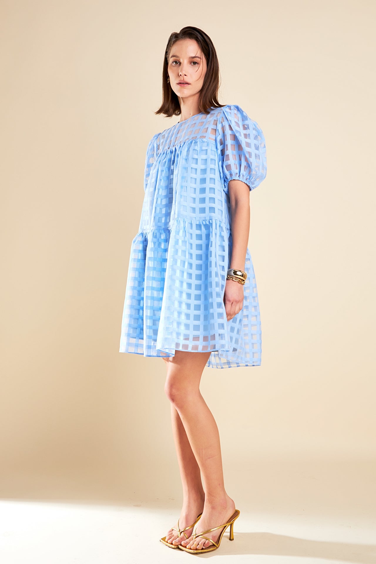 Gridded Organza Mini Dress