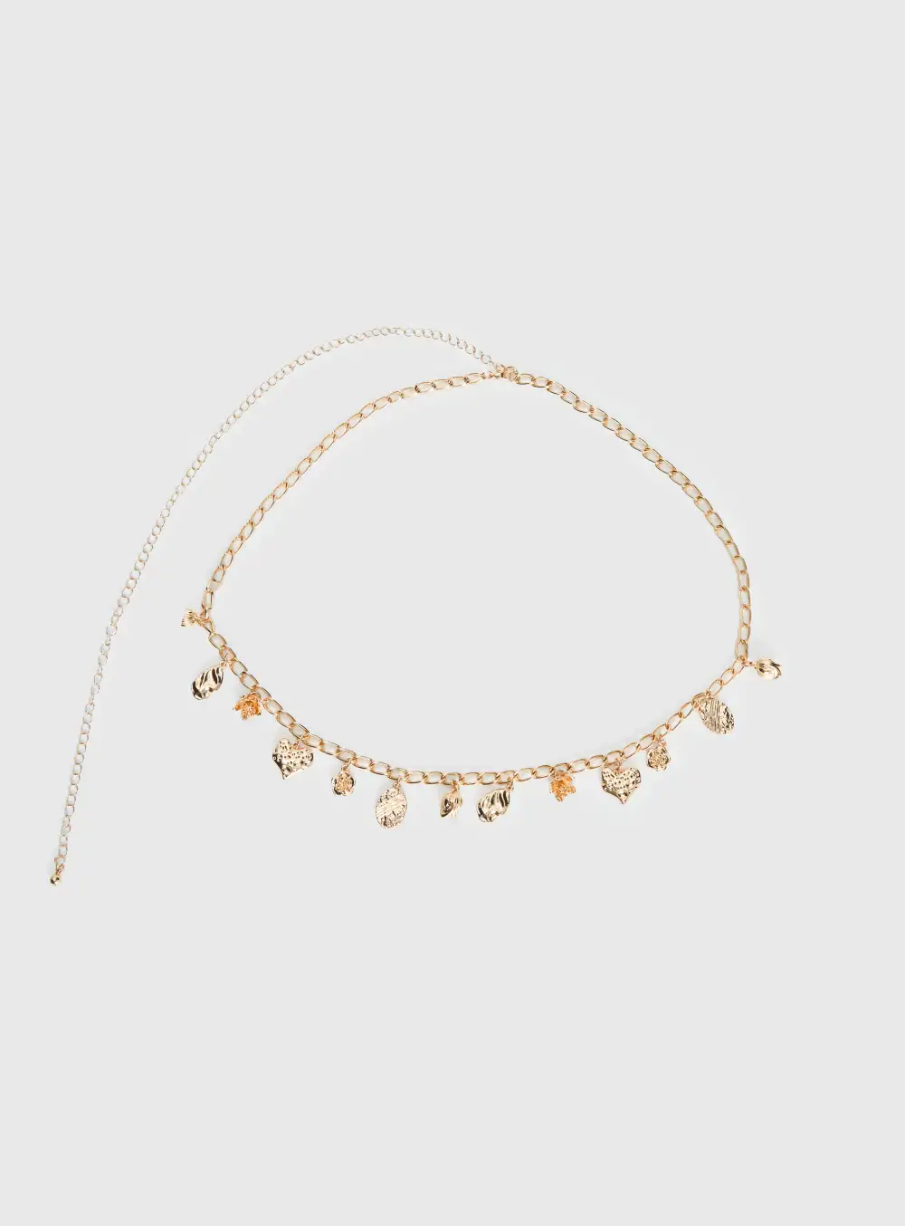 Elevated Chain Belt