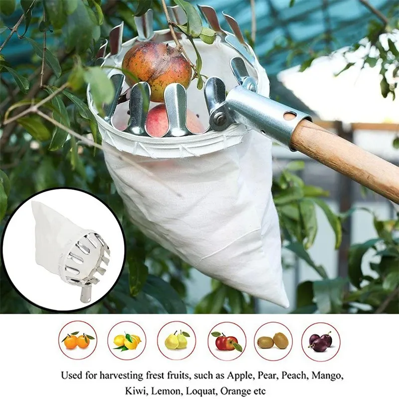 Fruit Picker Head Basket – Durable Design, Easy Attach & Perfect for Reaching High Branches Without a Ladder 🌳