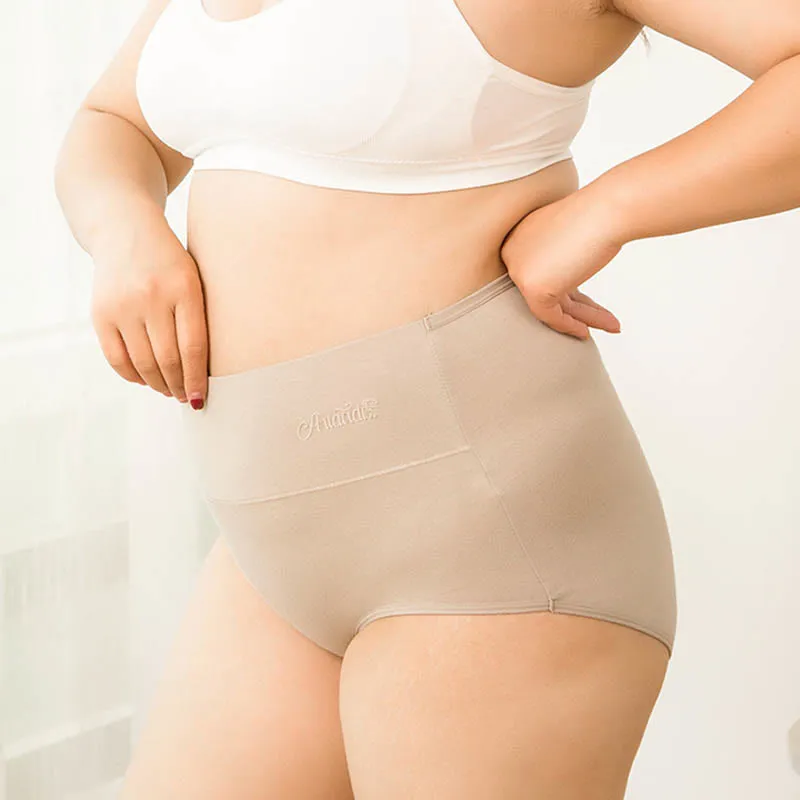 Everyday Plus Size High Waist Soft Touch Panty