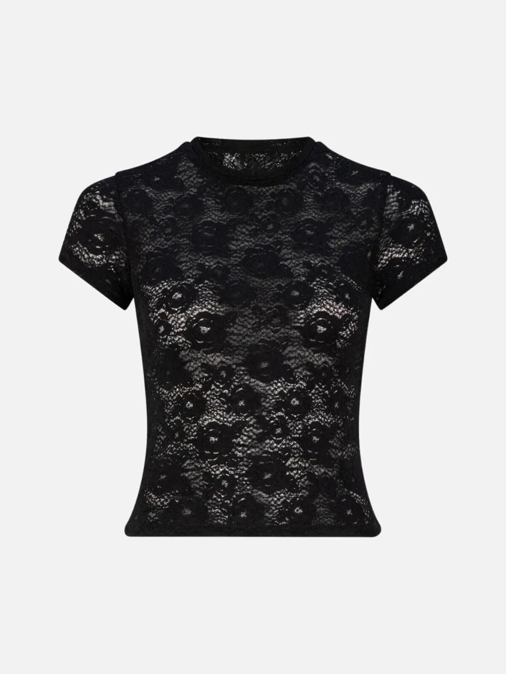 Lace Crew Neck Short Sleeve Top