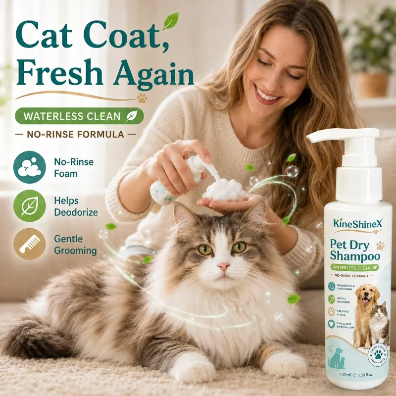 Pet dry cleaning foam