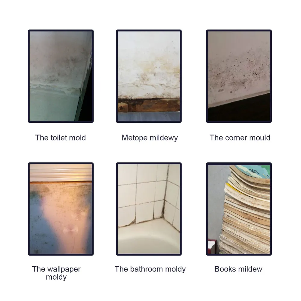 Mold Removal Spray