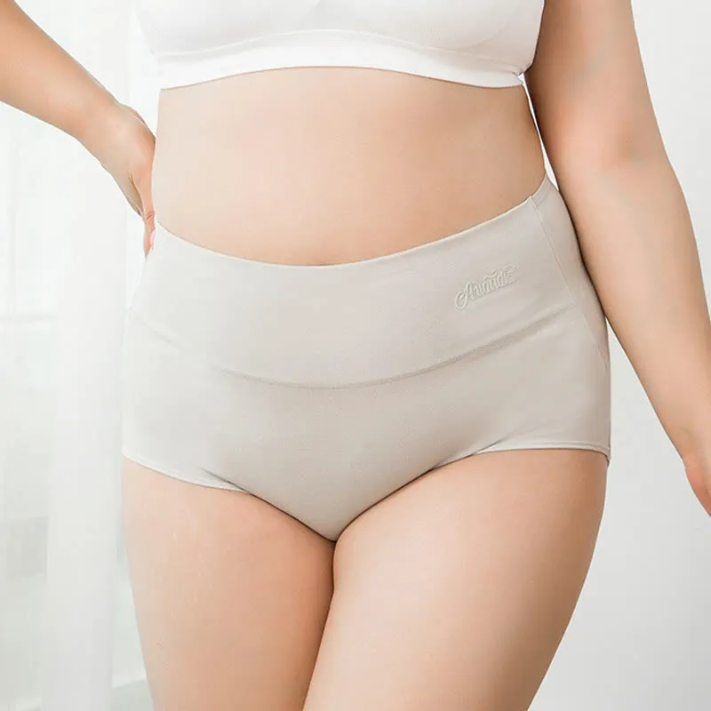 Everyday Plus Size High Waist Soft Touch Panty