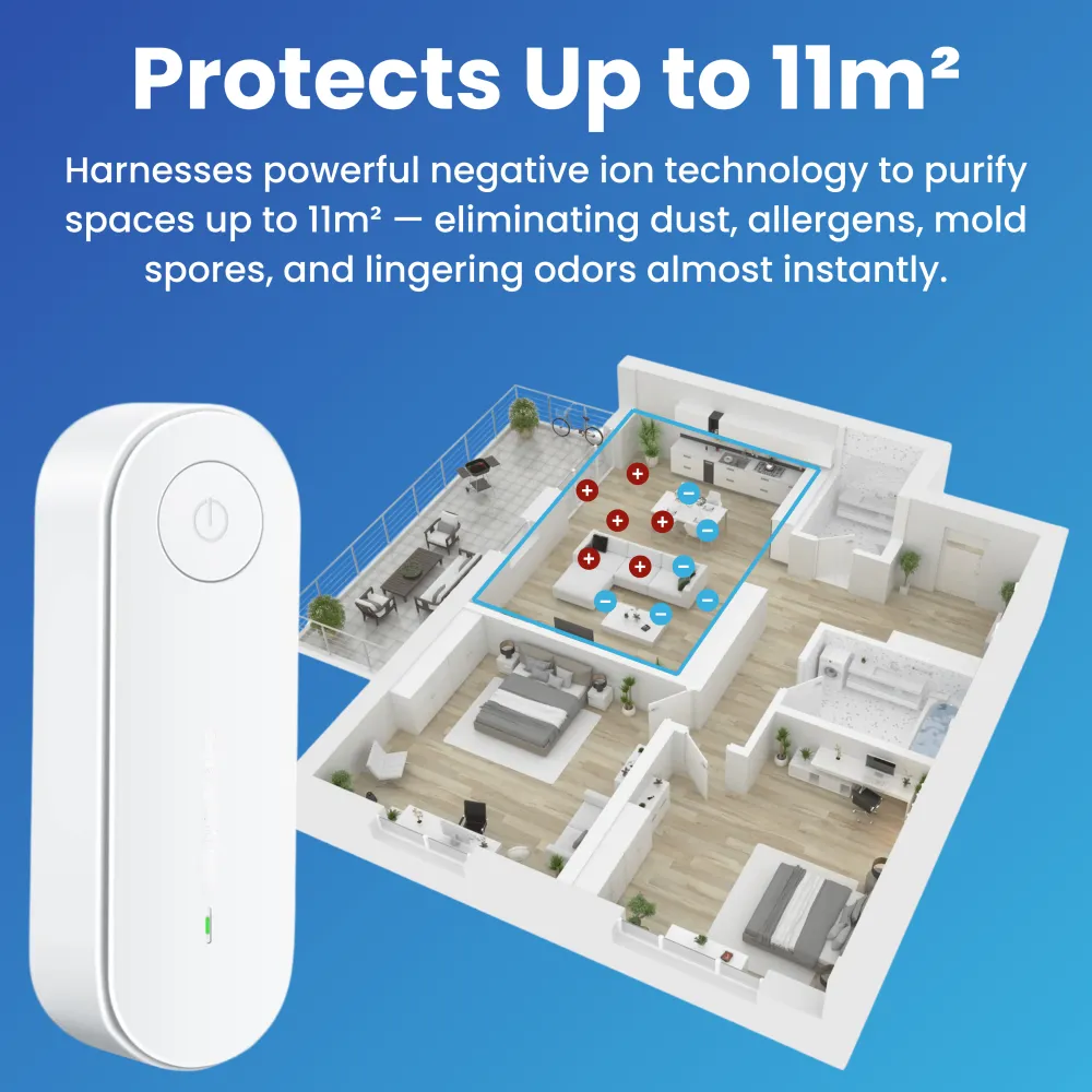 Negative Ion Portable Air Purifier