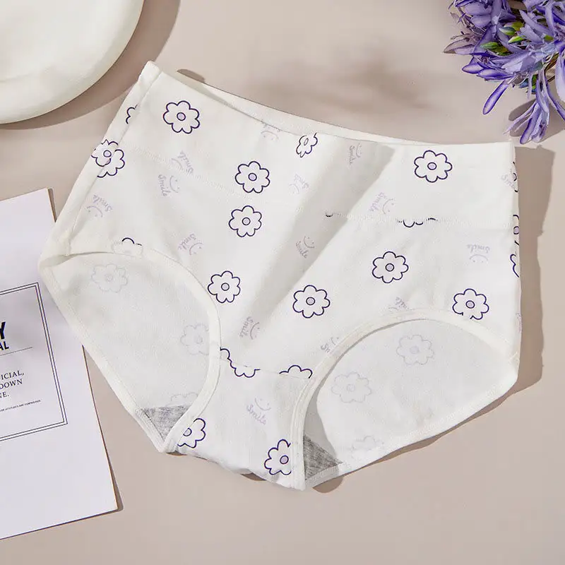 Everyday Plus Size High Waist Print Panty