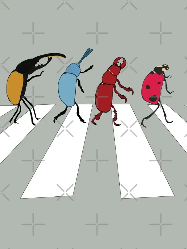 Beetle Print Women's Short Sleeved T-Shirt