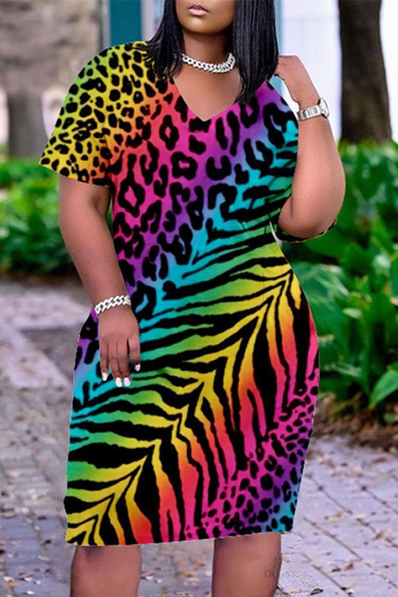 Plus Size Multicolor Casual Rainbow Leopard Print V Neck Midi Dresses