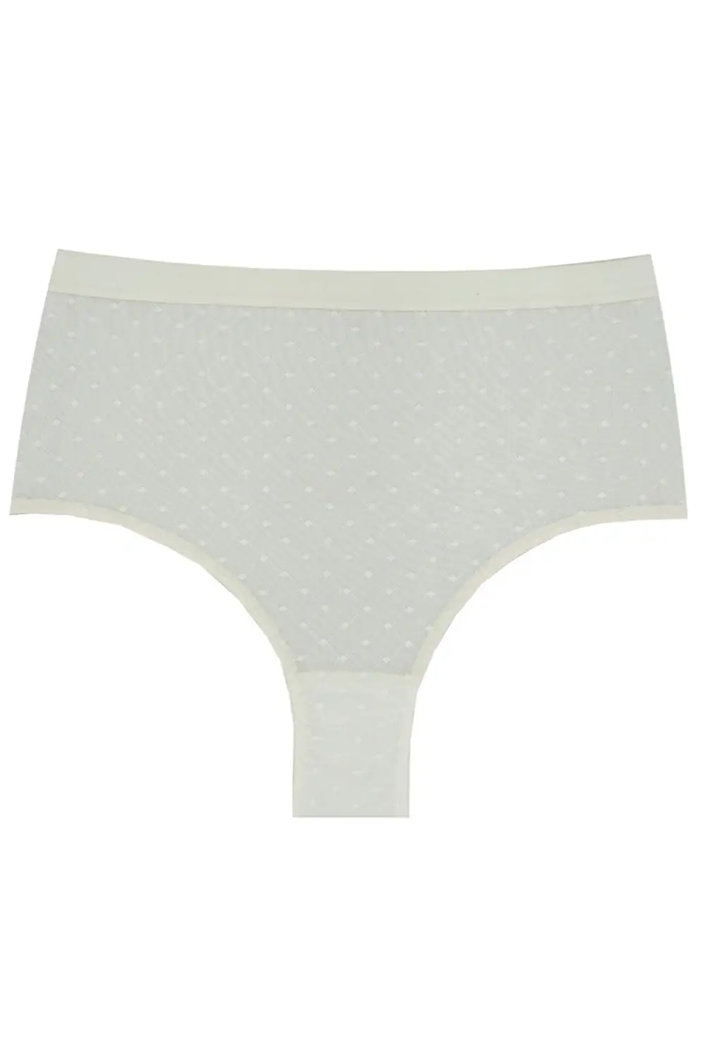 Lace High Waist Panties