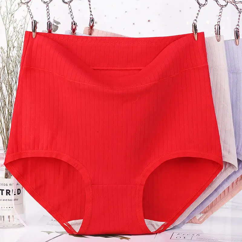 Plus Size High Waist Soft Touch Brief Panty