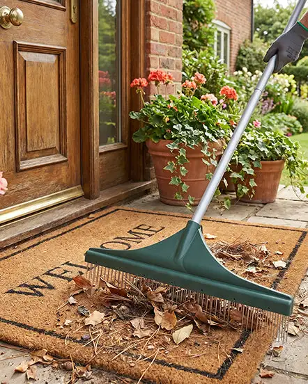 Multi-Purpose Lawn & Carpet Grooming Rake