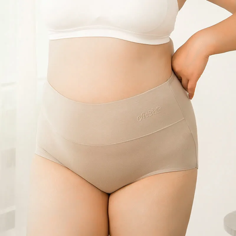Everyday Plus Size High Waist Soft Touch Panty