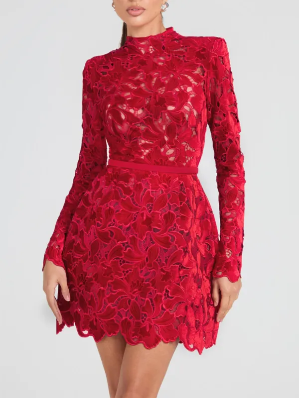 And Sophisticated Lace Elegant Mini Dress
