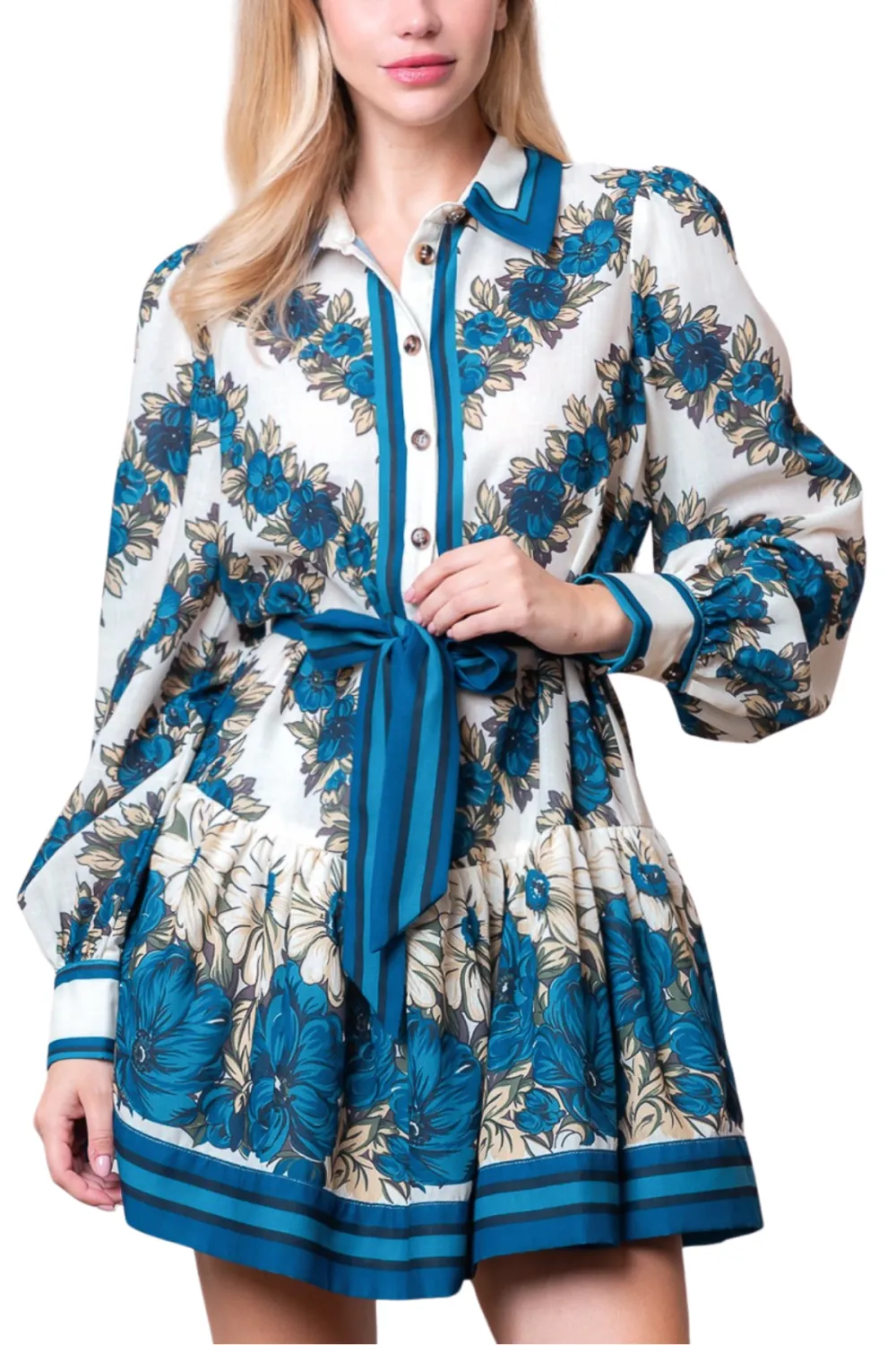 Long Sleeve Button Up Mini Dress