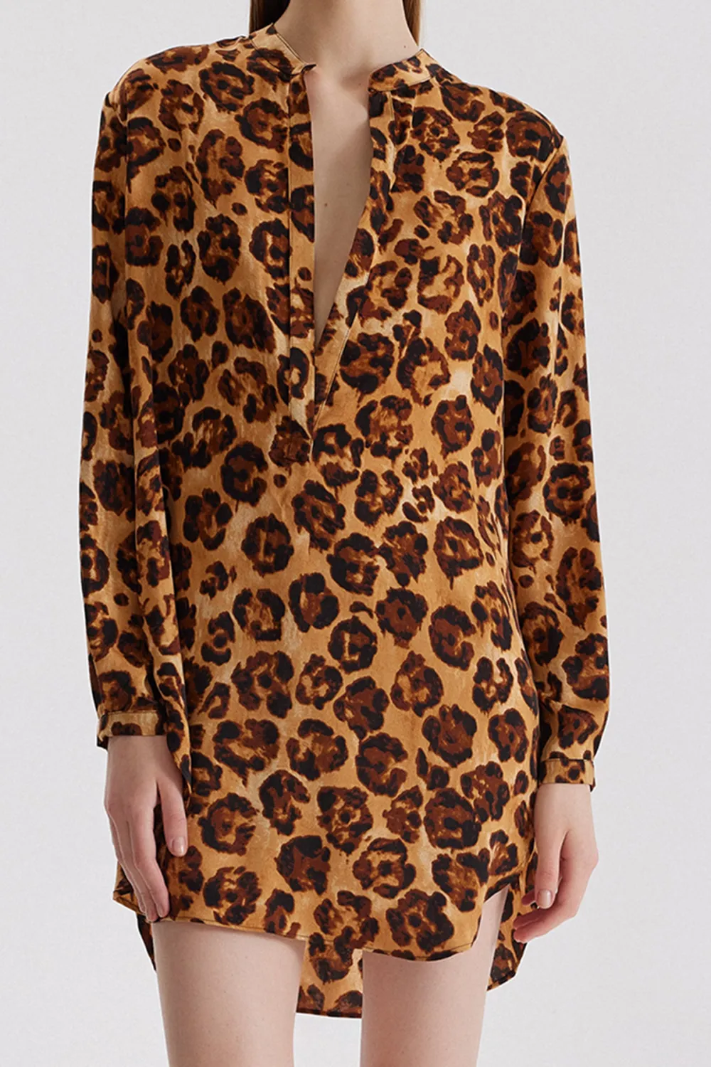 Leopard Mini Dress
