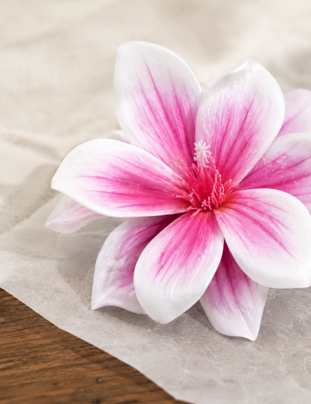 Classic Plumeria Flower Hair Clip