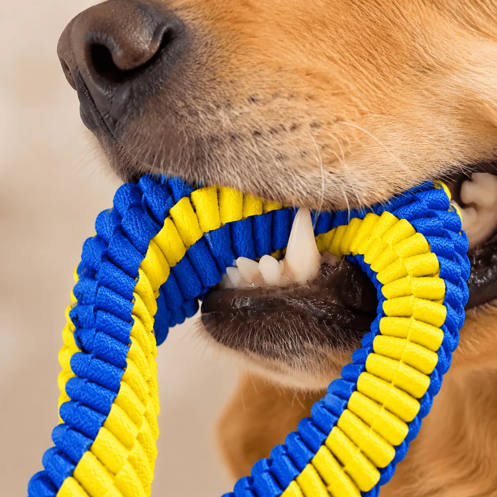 Pet self pleasure toys
