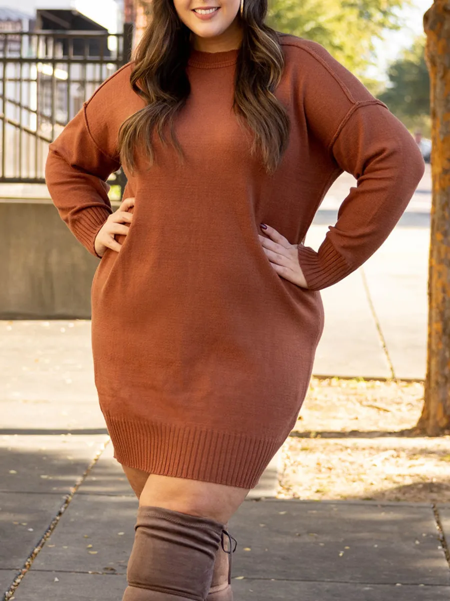 Brown Knitted Sweater Dress
