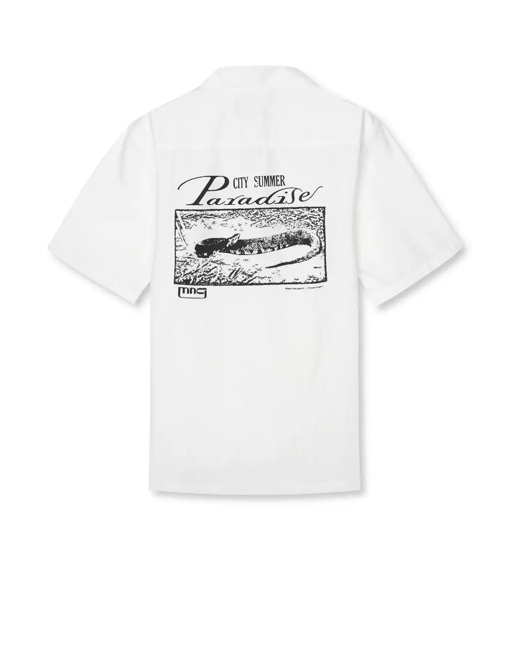 Men's Everyday Poplin Button Down Shirt