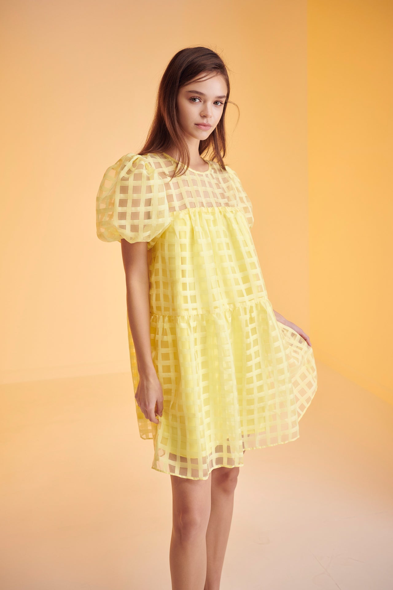 Gridded Organza Mini Dress